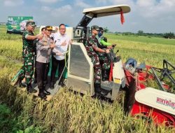 Panen Raya Padi, Wabup Gresik Geram Soal Harga Gabah, Petani Diminta Jangan Diam Saja