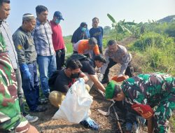 Kesetrum Jebakan Tikus Sawah di Ganggang, Balongpanggang Pria Asal Bojonegoro Tewas dilokasi