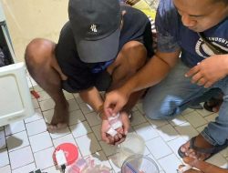 Diduga Bandar Sabu !! Dua Pemuda Asal Sidoarjo di Grebek Anggota Satresnarkoba Polres Gresik di Belakang Balai Desa Driyorejo