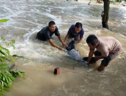 Pengendara Motor Terseret Arus Deras Banjir Kali Lamong di Jalan Raya Ngablak Benjeng