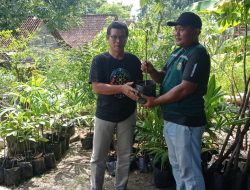 Jaga Sumber Mata Air Mbelik Kriwik dan Mbelik Klawer, Pokmas Ngudhi Mukti Terima Bantuan Bibit Tanaman dari Dinas Lingkungan Hidup Ngawi