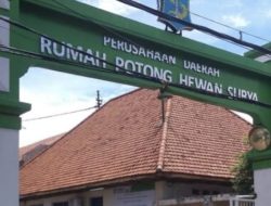 “PEMBISIK” WALI KOTA DIPUSARAN TERTUNDANYA RELOKASI RPH: Dia Bisa Dipidanakan