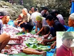 Guyub Rukun, Warga Dusun Ngantru Gotong Royong Kemasi Daging Kurban Idul Adha 1447 Hijriah