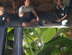 “Main Tancap” Tanpa Izin, Proyek Tiang WiFi Fiberstar di Kedung Cowek Diduga Di-backup Mantan Lurah dan Oknum RW